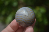 Polished Banded Agate Sphere-Balls - Sold Per Item - From Madagascar