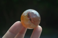 Polished Banded Agate Sphere-Balls - Sold Per Item - From Madagascar