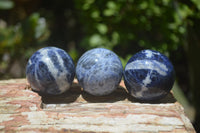 Polished Blue Sodalite Sphere-Balls - Sold Per Item - From Kunene River, Namibia