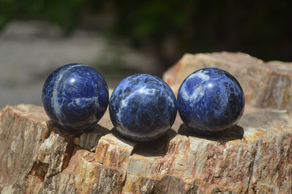 Polished Blue Sodalite Sphere-Balls - Sold Per Item - From Kunene River, Namibia