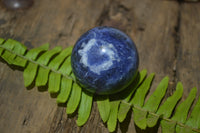 Polished Blue Sodalite Sphere-Balls - Sold Per Item - From Kunene River, Namibia