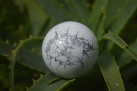 Polished Lightning Strike Magnesite - Howlite Sphere-Balls - Sold Per Item - From Zimbabwe