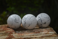 Polished Lightning Strike Magnesite - Howlite Sphere-Balls - Sold Per Item - From Zimbabwe