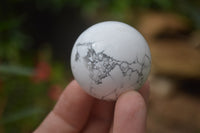 Polished Lightning Strike Magnesite - Howlite Sphere-Balls - Sold Per Item - From Zimbabwe