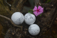 Polished Lightning Strike Magnesite - Howlite Sphere-Balls - Sold Per Item - From Zimbabwe