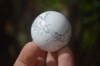 Polished Lightning Strike Magnesite - Howlite Sphere-Balls - Sold Per Item - From Zimbabwe