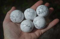 Polished Lightning Strike Magnesite - Howlite Sphere-Balls - Sold Per Item - From Zimbabwe