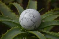 Polished Lightning Strike Magnesite - Howlite Sphere-Balls - Sold Per Item - From Zimbabwe