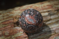 Polished Snakeskin Rhyolite Jasper Sphere - Ball - sold per item - From Australia