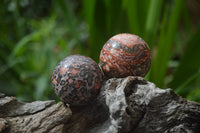 Polished Snakeskin Rhyolite Jasper Sphere - Ball - sold per item - From Australia