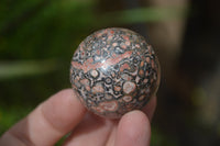 Polished Snakeskin Rhyolite Jasper Sphere - Ball - sold per item - From Australia