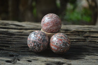 Polished Snakeskin Rhyolite Jasper Sphere - Ball - sold per item - From Australia