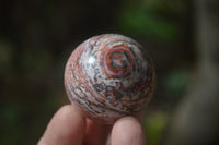 Polished Snakeskin Rhyolite Jasper Sphere - Ball - sold per item - From Australia