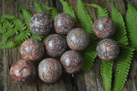 Polished Snakeskin Rhyolite Jasper Sphere - Ball - sold per item - From Australia