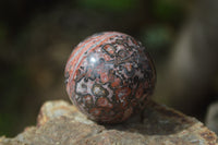 Polished Snakeskin Rhyolite Jasper Sphere - Ball - sold per item - From Australia