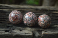 Polished Snakeskin Rhyolite Jasper Sphere - Ball - sold per item - From Australia