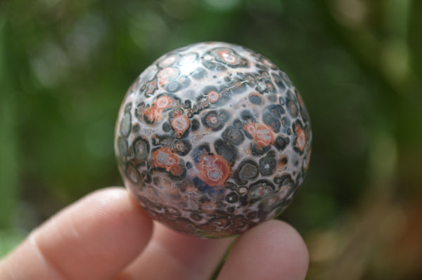 Polished Snakeskin Rhyolite Jasper Sphere - Ball - sold per item - From Australia