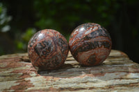 Polished Snakeskin Rhyolite Jasper Sphere - Ball - sold per item - From Australia