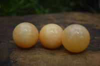 Polished Small Honey Aragonite Gemstone Sphere-Balls - Sold Per Item - From Ais-Ais Namibia