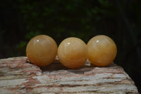 Polished Small Honey Aragonite Gemstone Sphere-Balls - Sold Per Item - From Ais-Ais Namibia