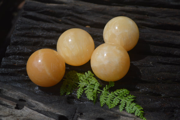 Polished Small Honey Aragonite Gemstone Sphere-Balls - Sold Per Item - From Ais-Ais Namibia