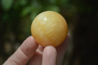 Polished Small Honey Aragonite Gemstone Sphere-Balls - Sold Per Item - From Ais-Ais Namibia