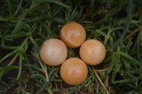 Polished Small Honey Aragonite Gemstone Sphere-Balls - Sold Per Item - From Ais-Ais Namibia