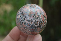 Polished Snakeskin Rhyolite Jasper Sphere - Ball - sold per item - From Australia