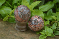 Polished Snakeskin Rhyolite Jasper Sphere - Ball - sold per item - From Australia