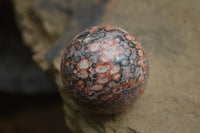 Polished Snakeskin Rhyolite Jasper Sphere - Ball - sold per item - From Australia