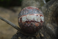 Polished Snakeskin Rhyolite Jasper Sphere - Ball - sold per item - From Australia