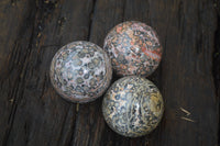 Polished Snakeskin Rhyolite Jasper Sphere - Ball - sold per item - From Australia