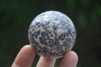 Polished Snakeskin Rhyolite Jasper Sphere - Ball - sold per item - From Australia