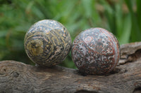 Polished Snakeskin Rhyolite Jasper Sphere - Ball - sold per item - From Australia