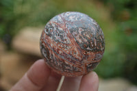 Polished Snakeskin Rhyolite Jasper Sphere - Ball - sold per item - From Australia