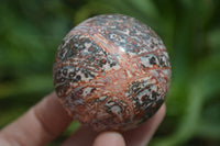 Polished Snakeskin Rhyolite Jasper Sphere - Ball - sold per item - From Australia