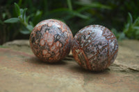 Polished Snakeskin Rhyolite Jasper Sphere - Ball - sold per item - From Australia