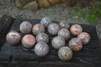 Polished Snakeskin Rhyolite Jasper Sphere - Ball - sold per item - From Australia