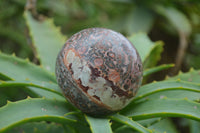 Polished Snakeskin Rhyolite Jasper Sphere - Ball - sold per item - From Australia