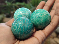 Polished Amazonite Sphere-Balls - Sold Per Item - From Madagascar