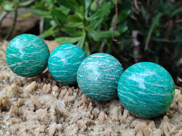 Polished Amazonite Sphere-Balls - Sold Per Item - From Madagascar