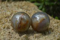 Polished Translucent Banded Agate Sphere-Balls - Sold Per Item - From Madagascar