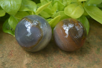 Polished Translucent Banded Agate Sphere-Balls - Sold Per Item - From Madagascar