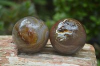 Polished Translucent Banded Agate Sphere-Balls - Sold Per Item - From Madagascar