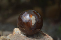 Polished Translucent Banded Agate Sphere-Balls - Sold Per Item - From Madagascar