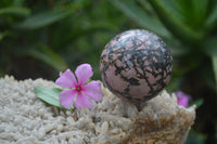 Polished Medium Rhodonite Sphere-Balls - Sold Per Item - From Madagascar