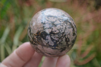 Polished Medium Rhodonite Sphere-Balls - Sold Per Item - From Madagascar