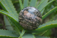 Polished Medium Rhodonite Sphere-Balls - Sold Per Item - From Madagascar