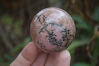 Polished Medium Rhodonite Sphere-Balls - Sold Per Item - From Madagascar