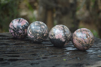 Polished Medium Rhodonite Sphere-Balls - Sold Per Item - From Madagascar